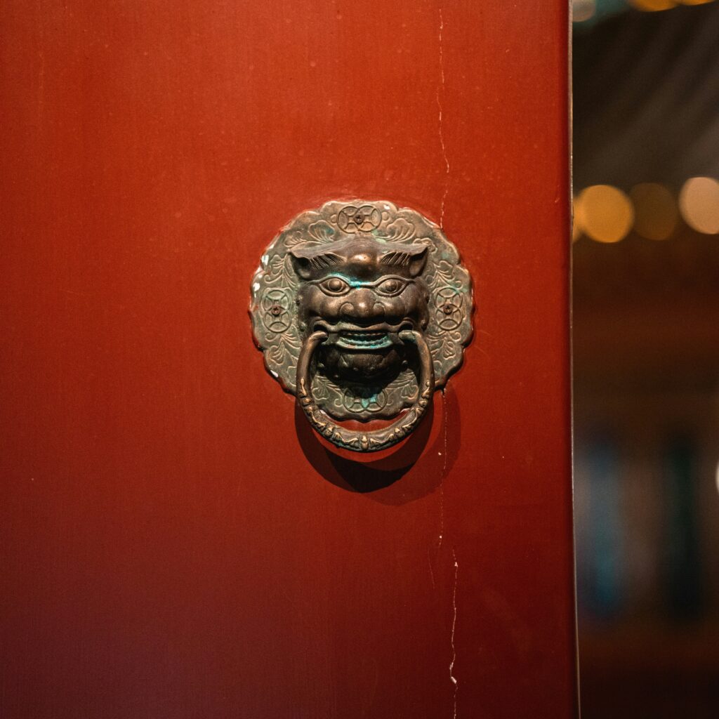 nevergg-DhOPjNWBbZE-unsplash