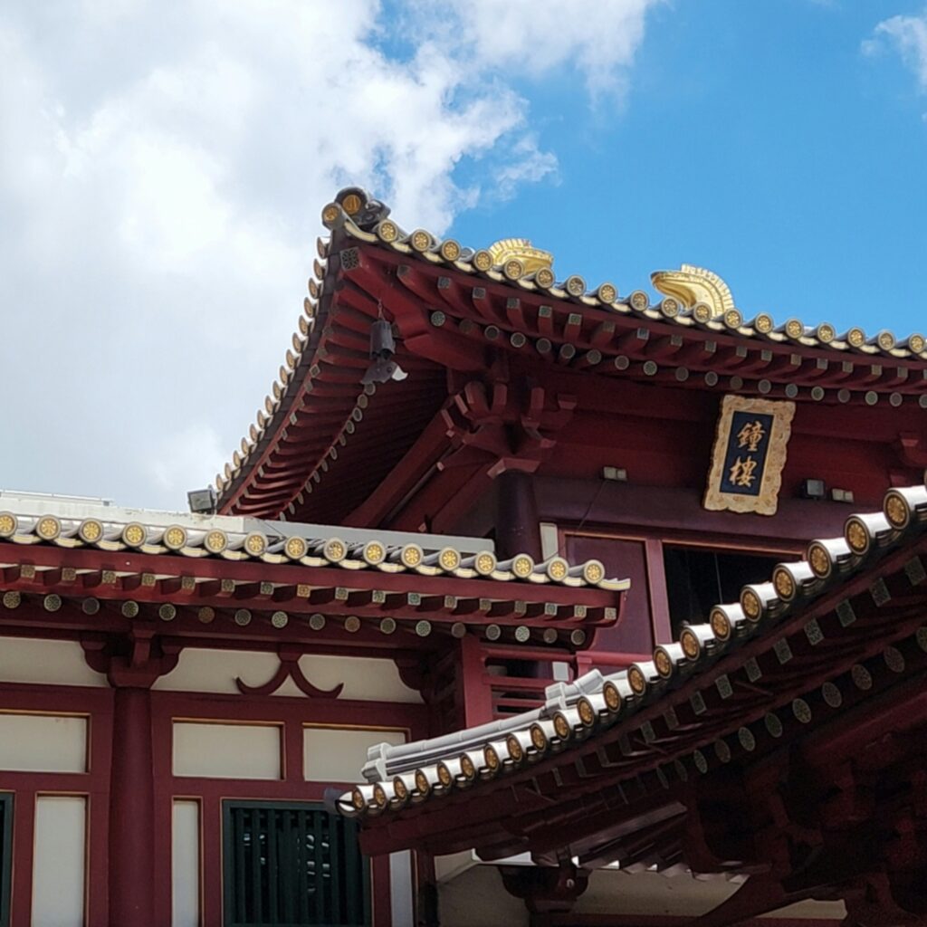 wren-D6YsVwm7ktA-unsplash