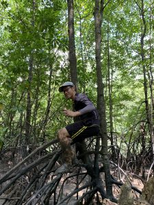 Hutan paya bakau terbesar di dunia