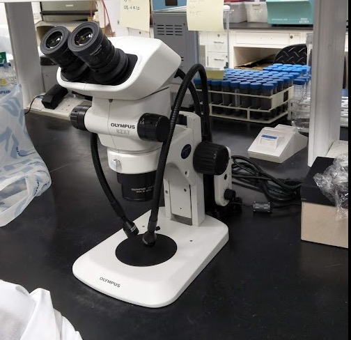 GEOLab_Microscope capability 2