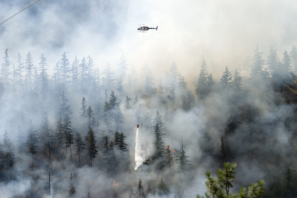 Aerial firefighting for a forest fire