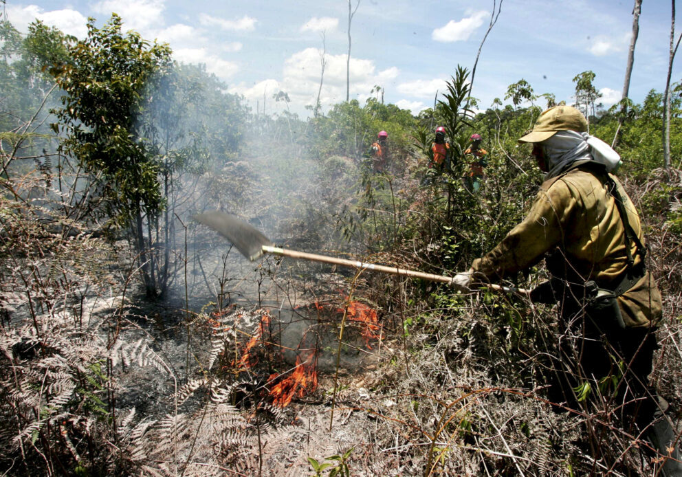 prado, bahia / brazil - december 8, 2009: brigade members fight forest fire in native forest in the Discovery National Park, in the municipality of Prado.