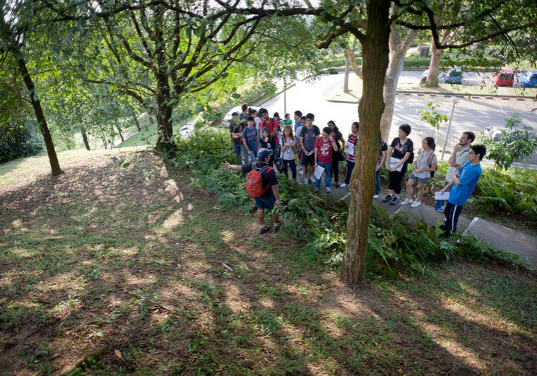 2011 Outside Classroom