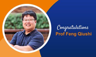 feng promotion