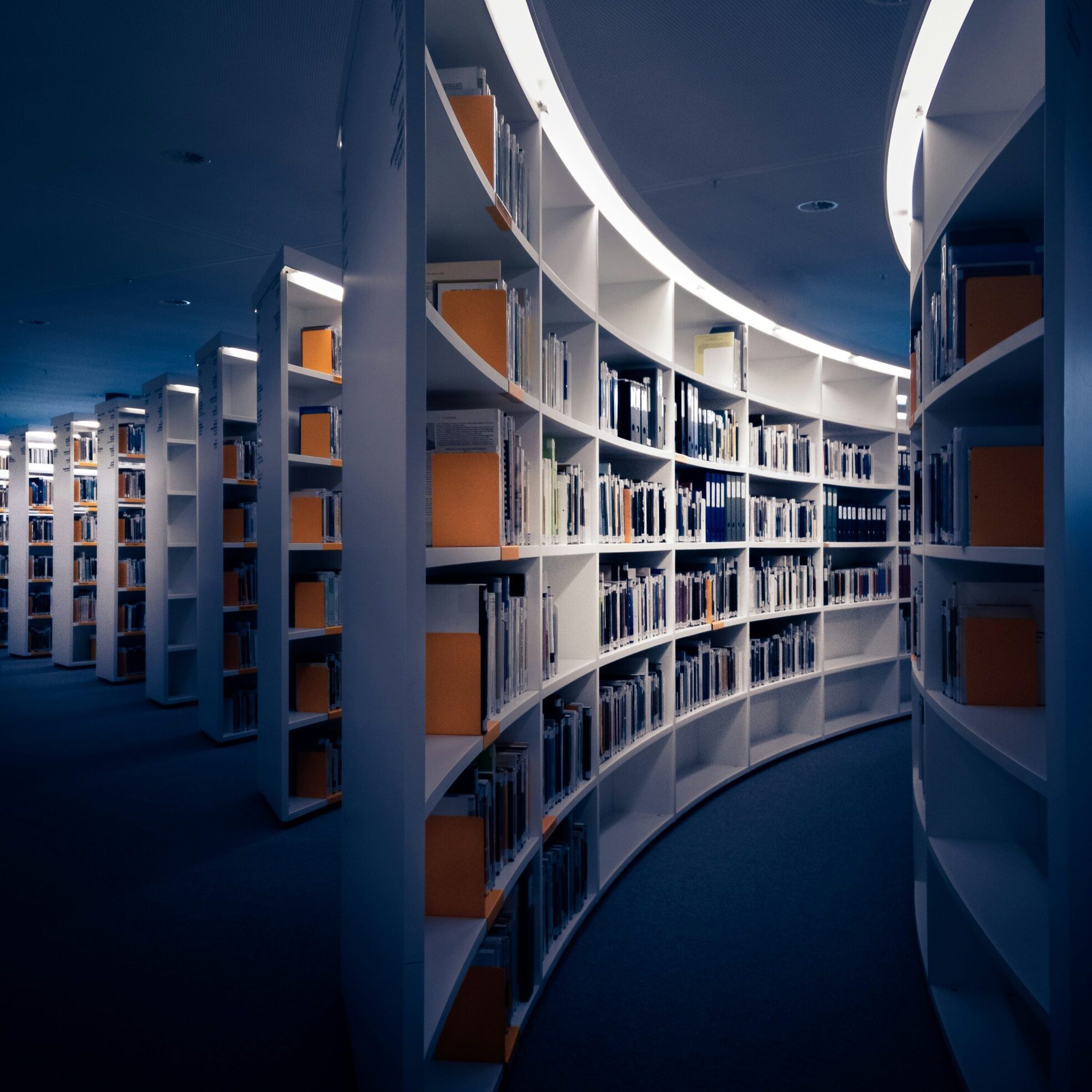 martin-adams-_OZCl4XcpRw-unsplash