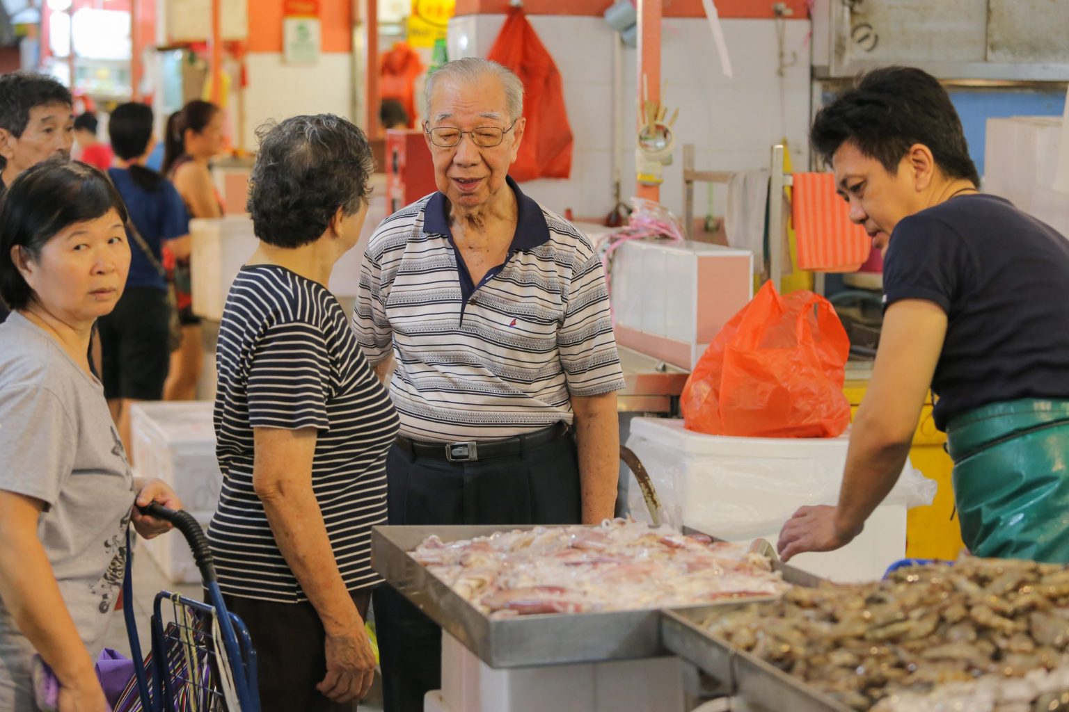 Singapore’s Approach To Ageing Policies: Tackling The Limits Of The ...