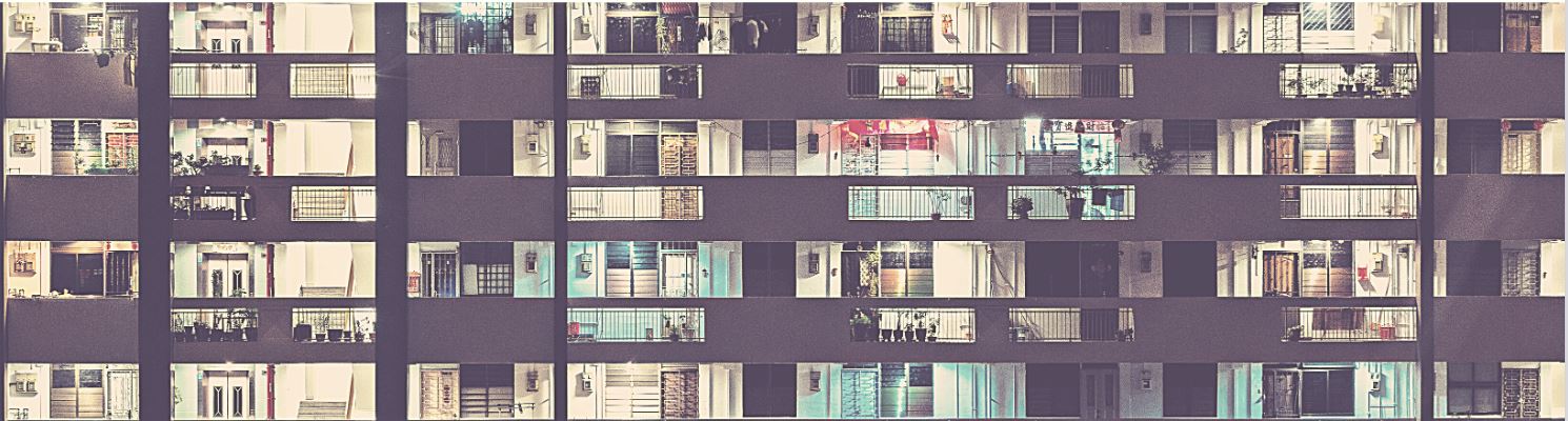 Capture_Snippet_Feb2021