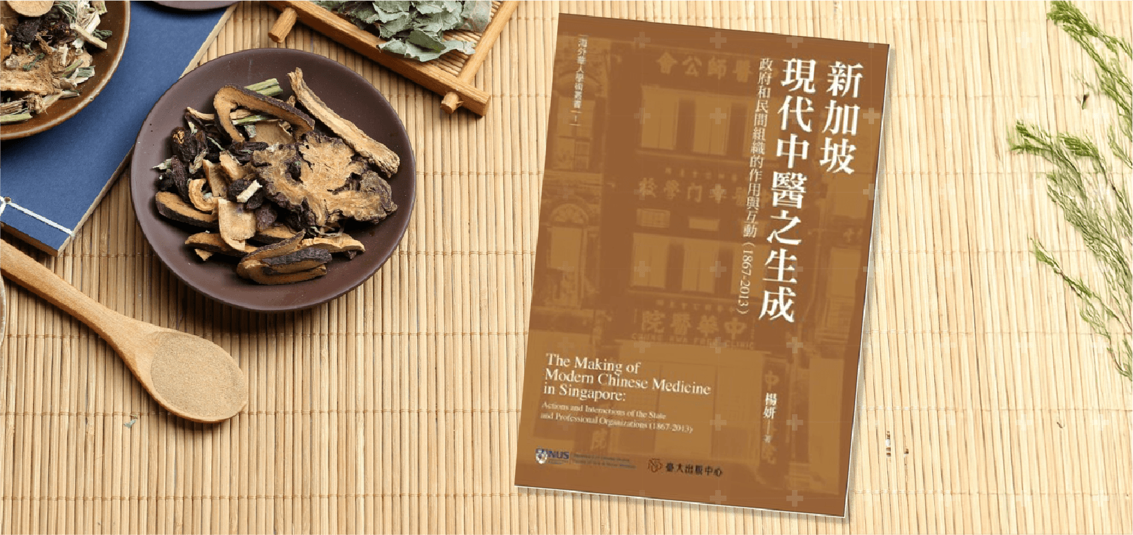 modern-chinese-medportal-banner