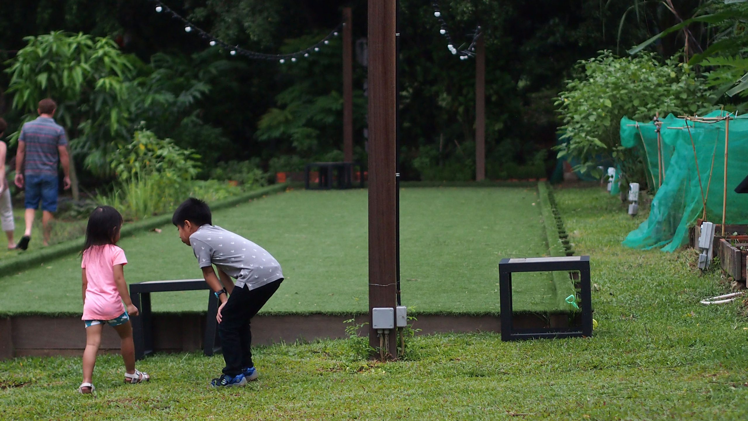 children playing