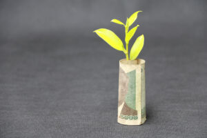 Rolled banknote money five thousand Cambodian Riel and young plant grow up with dark grey floor and background. Concept of money growth or currency interest.