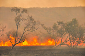 Australian outback bush fires