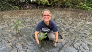 NUS geographer Dr Gretchen Coffman, who leads Singapore mangrove conservation and climate resilience research
