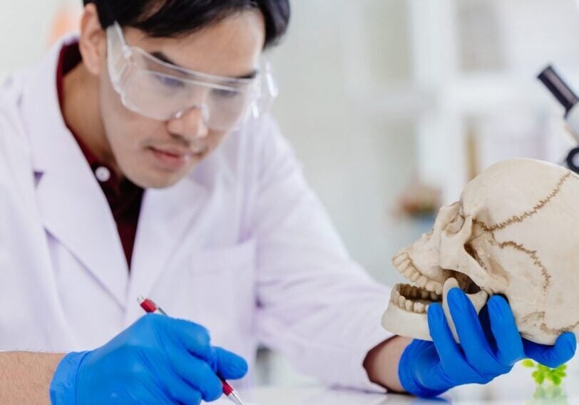 Asian Male working in Physical Scientist and Anthropology in biology science lab research study in human bone and skull.